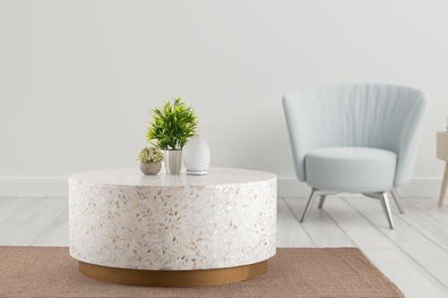 Elevate Our Living Space: Luxe Mother of Pearl Coffee Table Review