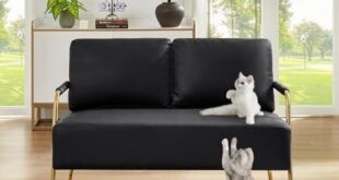 Discovering Comfort: Our Review of the Cat Claw Resistant Loveseat