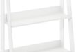 Discovering Style and Function: Our Review of Furinno’s Ladder Shelf