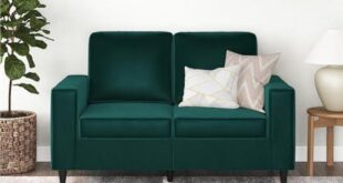 Discovering Comfort and Style: Our Review of REALROOMS Coral Loveseat