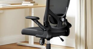 Versatile Ergonomic Chairs for Comfort and Style