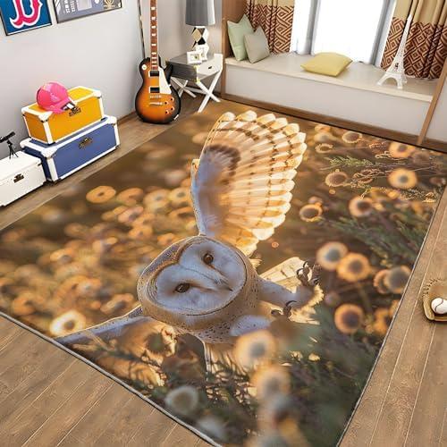 Stylish & Versatile Rugs for Every Space in Your Home!